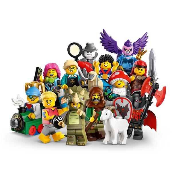 12 detailed Minifigures characters to collect