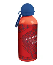 Rainbow Max Hero Aluminum Water Bottle - 600mL