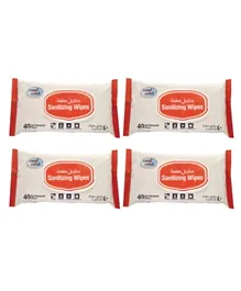 Cool & Cool Sanitizing Wipes Pack of 4 - 160 Pieces