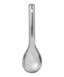 Raj Stainless Steel Float Spoon - Silver