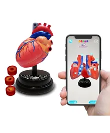 Eastcolight AR Cardiology Professional Educational Model for Kids, Multi-Color, with Human Science AR App