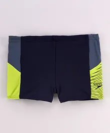 Speedo Dive Aqua Shorts - Navy
