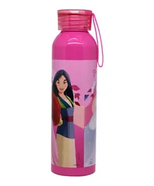 Princess Aluminum Water Bottle - 500ml