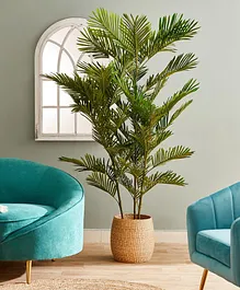 HomeBox Cyara Mini Palm Tree with Pot - 180cm