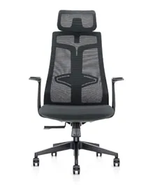 Skyland Advanced Ergonomic High-Back Desk Chair - Black