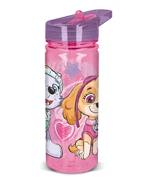Nicklodeon Eco Zen  Paw Petrol Girl Bottle - 580mL