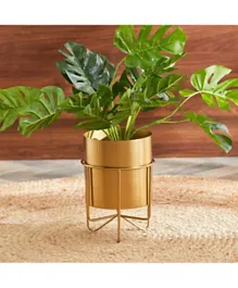 HomeBox Ace Metal Planter with Stand - Gold