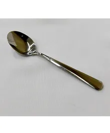 Winsor Stainless Steel Tea Pilla Spoon - Silver