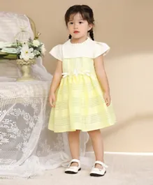 Smart Baby Floral Embellished Party Dress - Multicolor