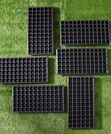 HomeBox Meadow 72 Cell Plant Growing Seed Tray - Set of 6