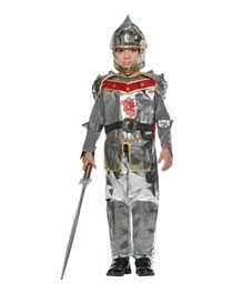 SAPS Dragon Slayer Costume - Silver