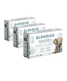 Bloomies Hypoallergenic Premium Baby Diapers Size 2 Pack of 3 - 120 Pieces
