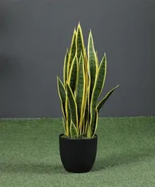 PAN Home Sansevieria Potted Plant - Green/yellow