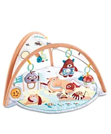 Little Angel Baby Round Activity Gym with Play Balls - Multicolour