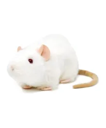 ViaHart Wylie The White Rat Soft Toy - 31.75 cm
