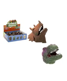 PMS Chattering Teeth Dinosaur Head Pack of 1 - Assorted Colors