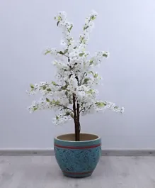 شجرة زهر الكرز بان هوم - أبيض