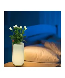 HOCC Illuminated 2 in 1 Table Lamp + Flower Vase
