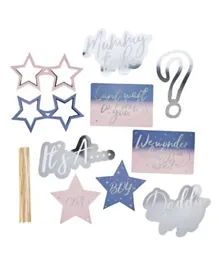Hootyballoo Gender Reveal Photo Booth Props - 10 Pieces
