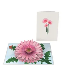 Generic Daisies Flower Pop Up Card - Multicolor