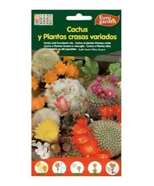 Euro Garden Cactus Succulent Mix