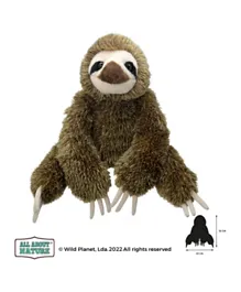 Wild Planet Sloth Bear Soft Toy - 36cm