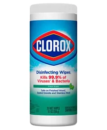 Clorox Disinfecting Fresh Scent Cleaning Wipes Can - 35 Pieces