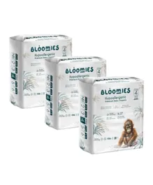 Bloomies Hypoallergenic Premium Baby Diapers Size 4 Pack of 3 - 66 Pieces