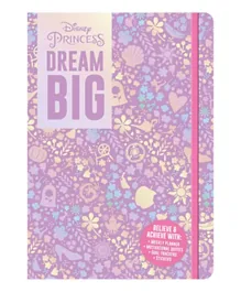 Disney Princess Dream Big Writing Prompts - English