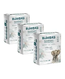 Bloomies Hypoallergenic Premium Baby Diapers Size 2 Pack of 3 - 66 Pieces