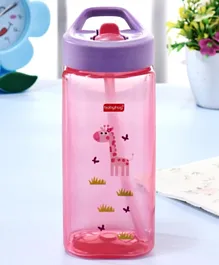 Babyhug Giraffe Print Square Spout Sipper Pink Purple - 420 ml