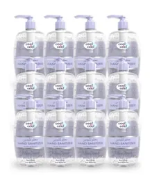 Cool & Cool Flora Fresh Hand Sanitizer (H548FF) Pack of 12 - 500 ml each