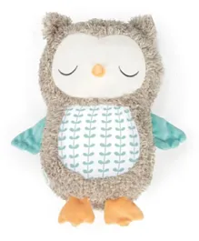Ingenuity Snuggle Sounds Soothing Plush Toy, Nally Owl with Bluetooth Speaker, Machine Washable, Crib Attachable, 0M+