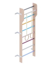 Ezzro Modern Scandinavian Ladder Gym - Multicolor