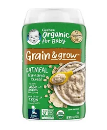 Gerber 2ND FOODS Cereal Organic Oatmeal Banana - 227g