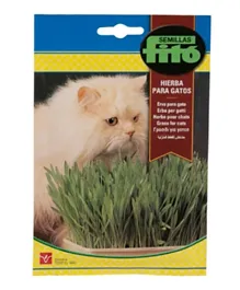 Fito Cat Grass Seeds