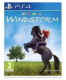 Bandai Namco WindStorm - Playstation 4