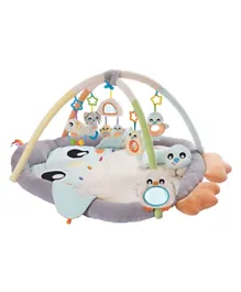Playgro Snuggle Me Penguin Tummy Time Gym for Infants, 0m+, with Mirror & Detachable Toys, 95x105x55cm