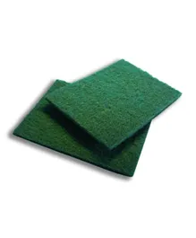 Arix Professional Green High-Quality Abrasive Fibre 10 Pieces