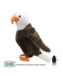 Wild Planet Eagle Soft Toy - 25cm