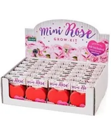 Paris Garden Mini Roses Ryegrass Pot Assorted Pack of 1 - Multicolour