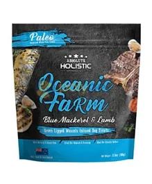 Absolute Holistic Air Dried Dog Treats - Chicken & Haki