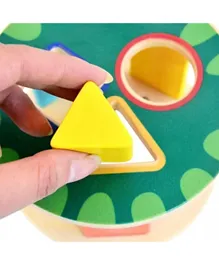 A Cool Toy Pull Along Shape Sorter Turtle