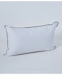 HomeBox Luxury Down Alternative Filled Cushion - 30x50 cms
