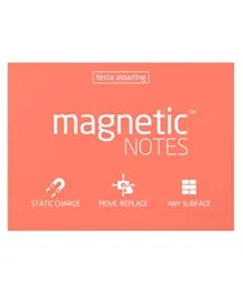 Tesla Amazing Magnetic Notes Spring -  Medium