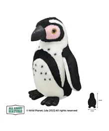 Wild Planet Cape Penguin Soft Toy - 24cm