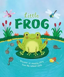 Little Frog Board Book - English