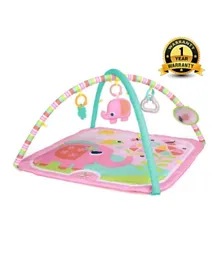 Bright Starts Fanciful Flowers Activity Play Gym - Pink