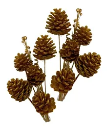 CherryPick Dried Pine Cone Copper Sticks - 10 Pieces