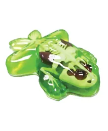 Slimy Dissect-It Simulated Synthetic Lab Dissection STEM Toy